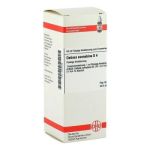 Datisca Cannabina D 4 Dilution (50 ml)
