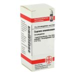 Cuprum Arsenicosum D 10 Globuli (10 g)