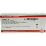 Crotalus D 12 Ampullen (10X1 ml)