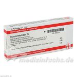 CUPRUM METALLICUM D 8 Ampullen, 10X1 ML