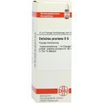 Dolichos Pruriens D 6 Dilution (20 ml)