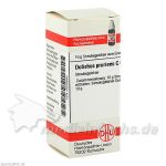 DOLICHOS PRURIENS C 6, 10 G