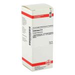 Echinacea Hab D 3 Dilution (50 ml)