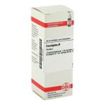 Eucalyptus Urtinktur (20 ml)