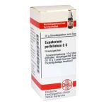 Eupatorium Perfoliatum C 6 Globuli (10 g)