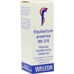 EQUISETUM ARV RH D 6, 20 ML