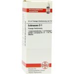 Echinacea (HAB) D 1, 20 ML