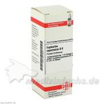 EUPHORBIA CYPARISS D 6, 20 ML