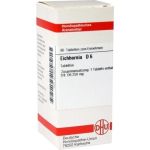 EICHHORNIA D 6, 80 ST