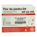 Flor De Piedra D 4 ad usus  veterinär  Ampullen (2X10X5 ml)