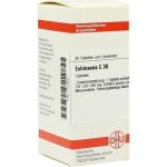 Echinacea (HAB) C30, 80 ST