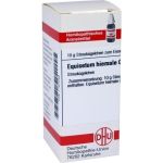 EQUISETUM HIEMALE C30, 10 G