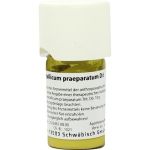 FERRUM MET PRAEP D 6, 20 G
