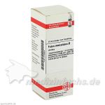 FUCUS VESICUL URT D 1, 20 ML