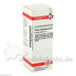 FUCUS VESICUL D 3, 20 ML