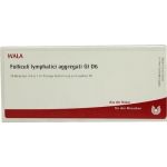 FOLLICULI LYMPH AGG GL D 6, 10X1 ML