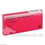 FOLGAMMA FORTE, 10X1 ML