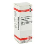Galega Officinalis D 1 Dilution (20 ml)