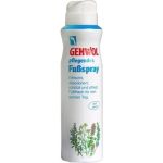 GEHWOL pflegendes Fußspray, 150 ML