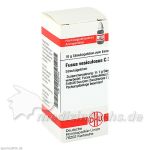 FUCUS VESICUL C30, 10 G