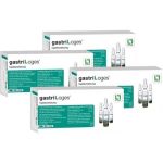 gastri-loges N Injektionslösung, 200X2 ML