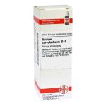 Acidum Sarcolactic D 6 Dilution (20 ml)