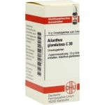 Ailanthus Gland. C 30 Globuli (10 g)