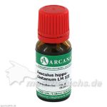 AESCULUS ARCA LM 12, 10 ML