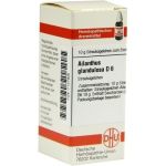 AILANTHUS GLAND D 6, 10 G