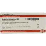Gnaphalium Polyceph. D 6 Ampullen (10X1 ml)
