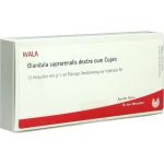 GLANDULA SUP DEX CUM CUPRO, 10X1 ML