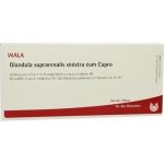 GLANDULA SUP SIN CUM CUPRO, 10X1 ML