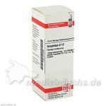 GRAPHITES D12, 20 ML