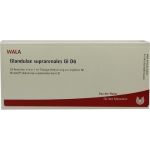 GLANDULAE SUPRAREN GL D 6, 10X1 ML
