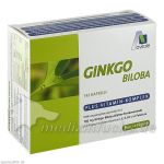Ginkgo 100mg Kaps + B1 C+E, 192 ST