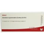 GLANDULA SUPR (COR) GL D12, 10X1 ML