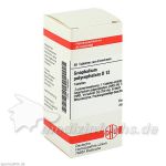 GNAPHALIUM POLYC D12, 80 ST