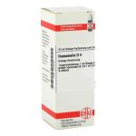 Hamamelis D 4 Dilution (20 ml)