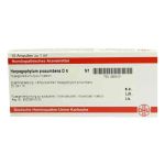 Harpagophytum Proc. D 4 Ampullen (10X1 ml)