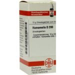 Hamamelis D 200 Globuli (10 g)