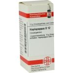 HAPLOPAPPUS D12, 10 G