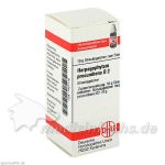 HARPAGOPHYTUM PROC D 2, 10 G