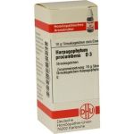 HARPAGOPHYTUM PROCUM D 3, 10 G