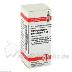HARPAGOPHYTUM PROCUM D30, 10 G