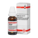 Hekla lava e lava D 6 Dilution (20 ml)