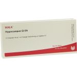 HIPPOCAMPUS GL D 5, 10X1 ML