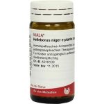 HELLEBORUS NIG E PL TO D 6, 20 G