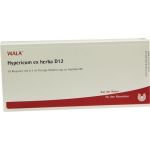 HYPERICUM EX HERBA D12, 10X1 ML