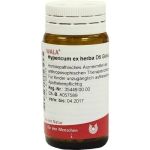 HYPERICUM EX HERBA D 6, 20 G