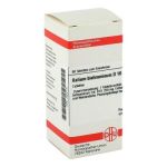 Kalium Bichromicum D 10 Tabletten (80 stk)